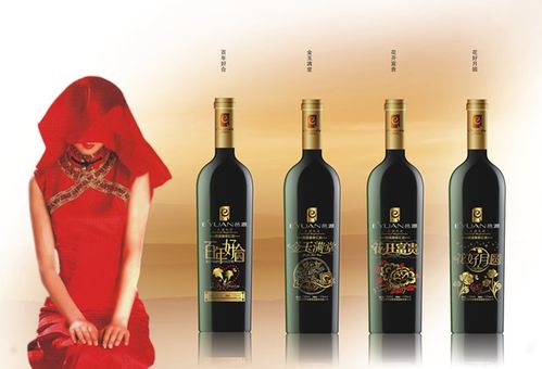 邑源葡萄酒包装设计品牌营销推广方案