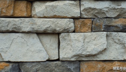 这家消费金融公司前总经理，转行当了副市长