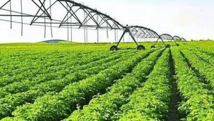 绿果APP发布上市消息以金融创新助力乡村振兴