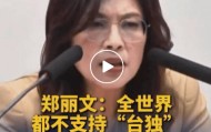 郑丽文：全世界都不支持“台独”，赖清德为什么不敢正面回答何时下架“台独党纲”