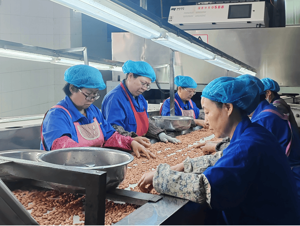 恒丰银行：金融助力“小花生”做成“大产业”