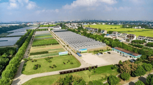 聚象生活APP即将上市用科技赋能农业推动普惠金融